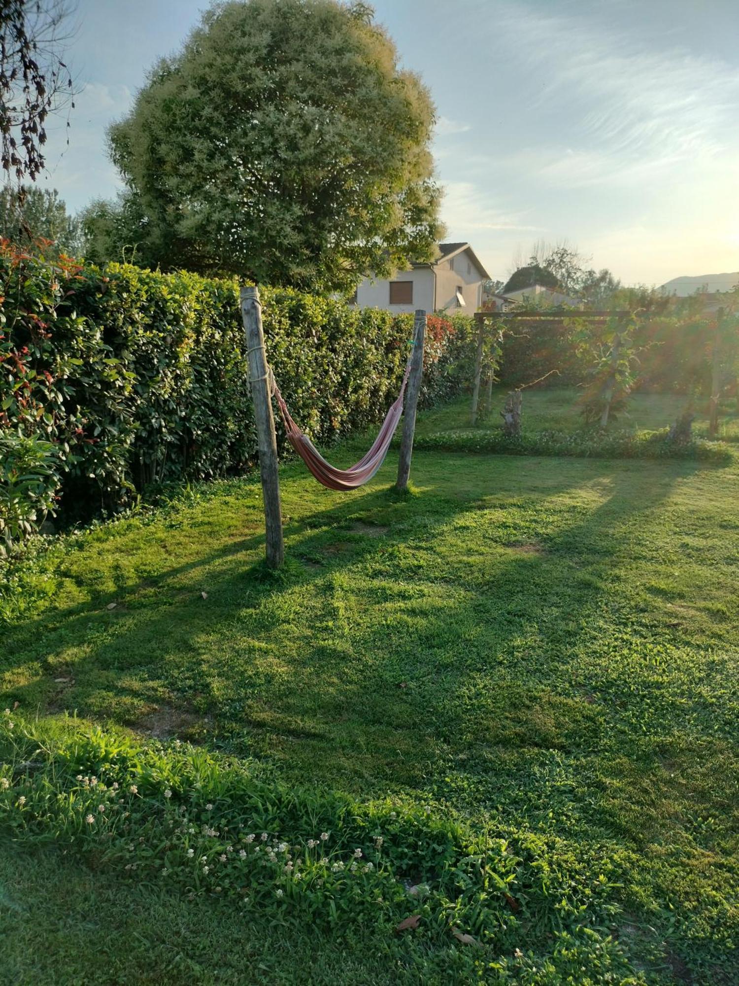 B&B La Rosa Nel Verde Lucca Exteriér fotografie