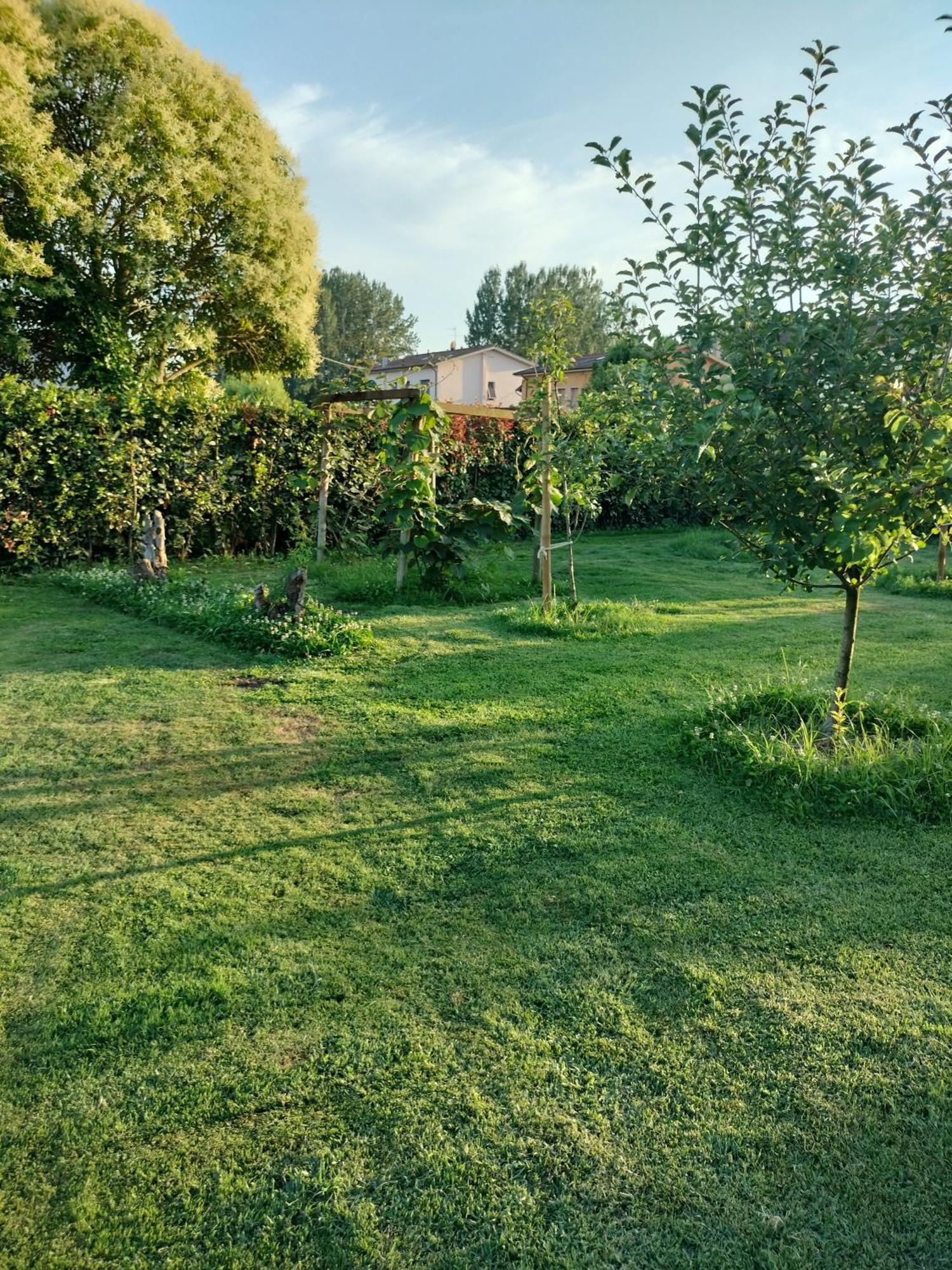 B&B La Rosa Nel Verde Lucca Exteriér fotografie